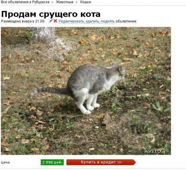 Нестандартный юмор