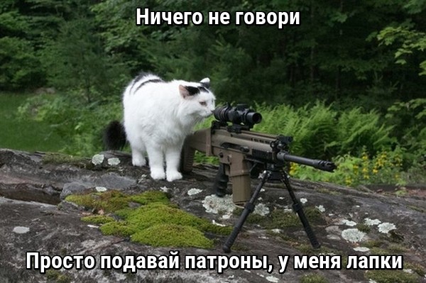 В работе сделай перерыв, пост с картинками открыв