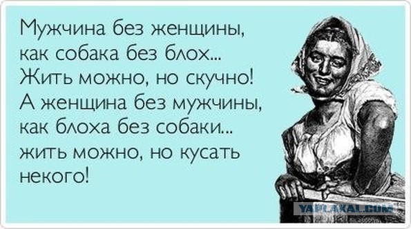 Накипелоипишу