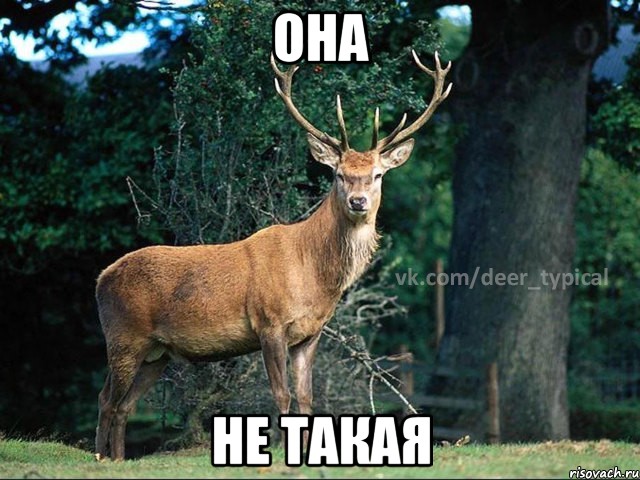Женщины специально гнобят своих мужей!