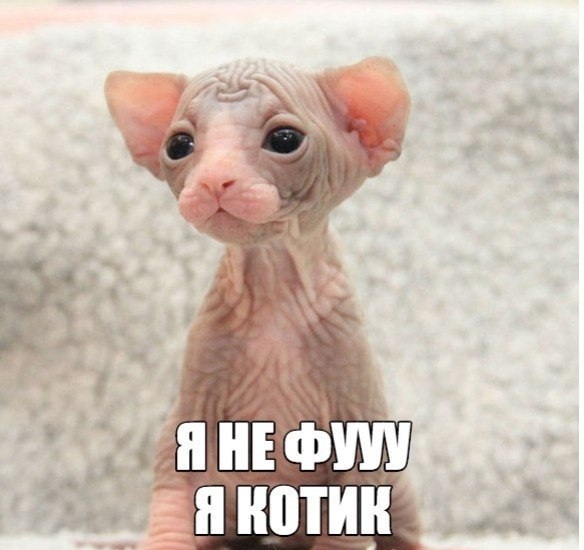 Картинки