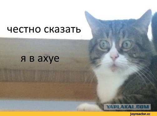 Почему из четырех древнейших цивилизаций только китайская выжила?