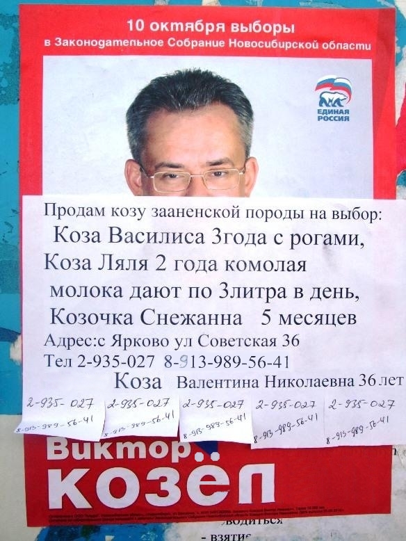 Продам козу