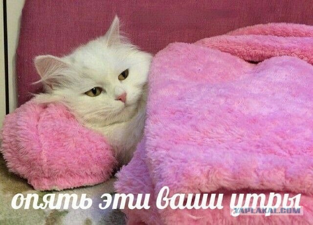 С какими женщинами не стоит связываться.