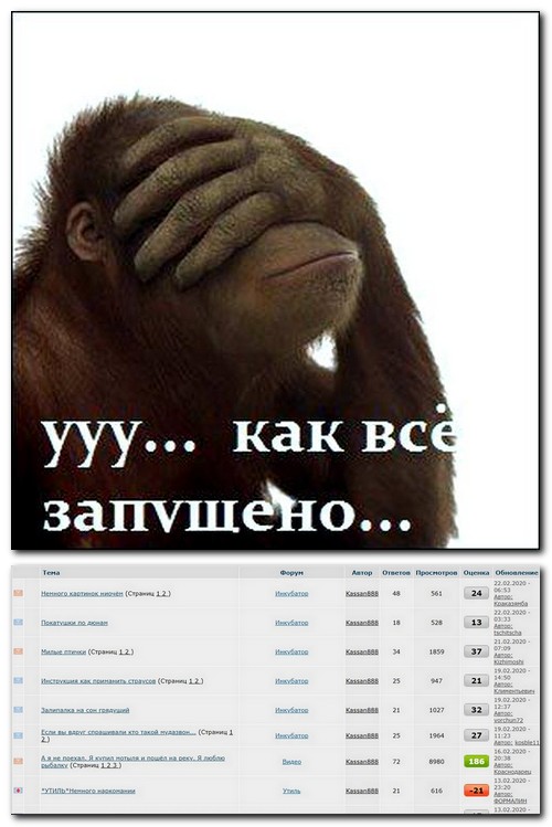 Немного картинок ниочём 22.02.20