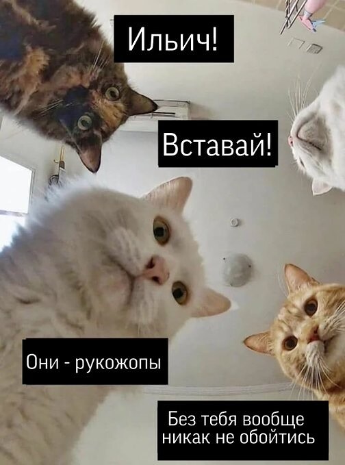 Бредзона 22.04.20