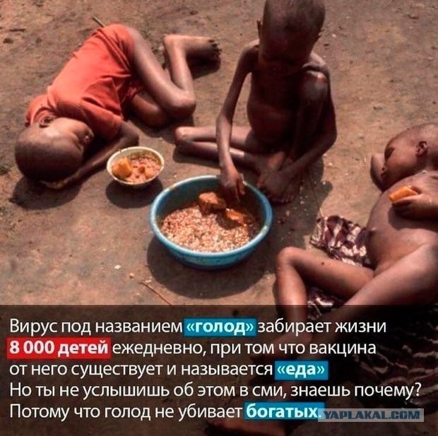 Записки медсестры из Коммунарки: «Сначала везли "куршавельских", теперь тысячи тех, кто схватил погань в магазине у дома»