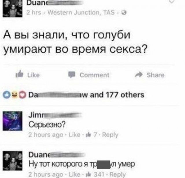 Что тут лишнее?