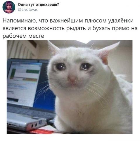 Юмор в картинках 2.11.20