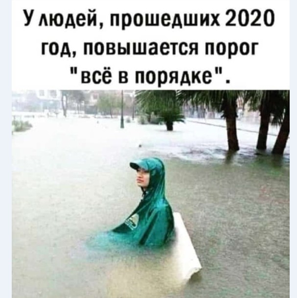 15075978.jpg