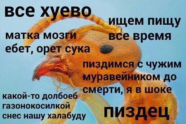 Всякие картинки