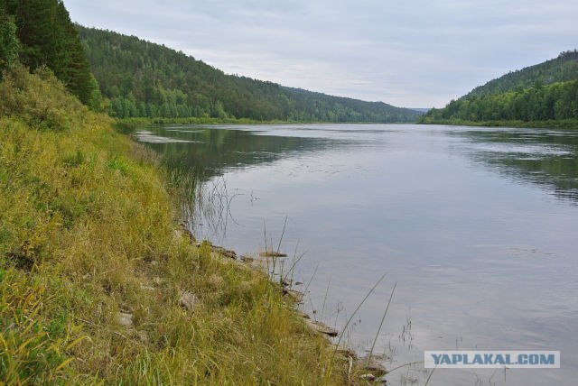 Полицейские спасли замерзавшего в тайге водителя