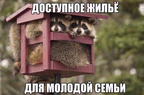 Так себе картинки 01.06.2021