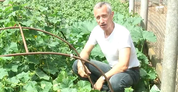 Когда метод решения проблемы "через *опу" сработал