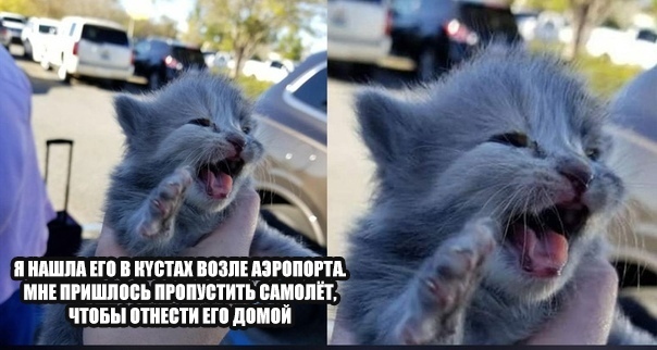 Так себе картинки 02.04.22