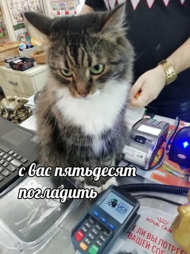 Картинки и мемы для настроения - 25