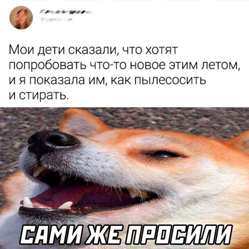 Картинки и мемы, всем хороших выходных