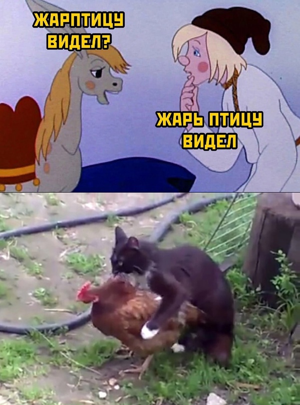 Картинки и мемы, всем хороших выходных