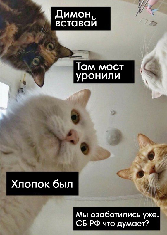 Володя