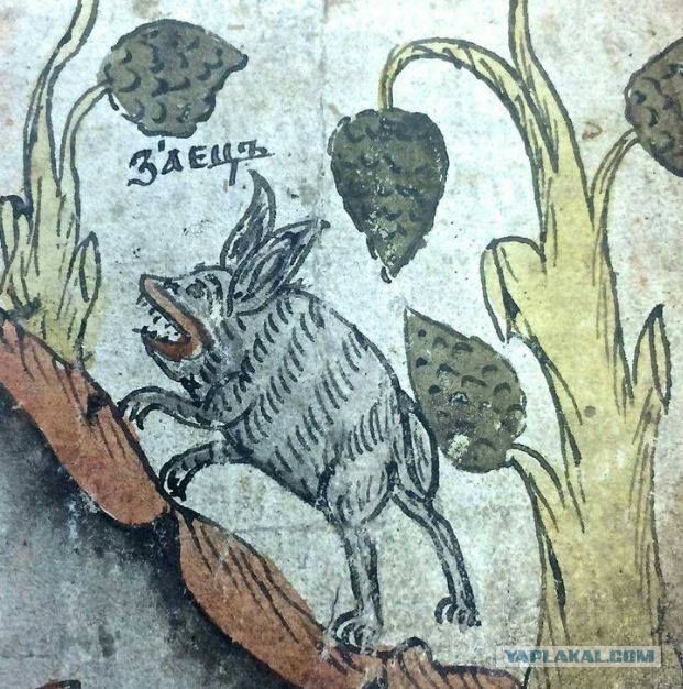 Не берите кроликов