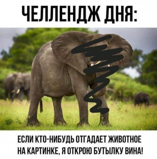Весёлый полтишок 17.01.23