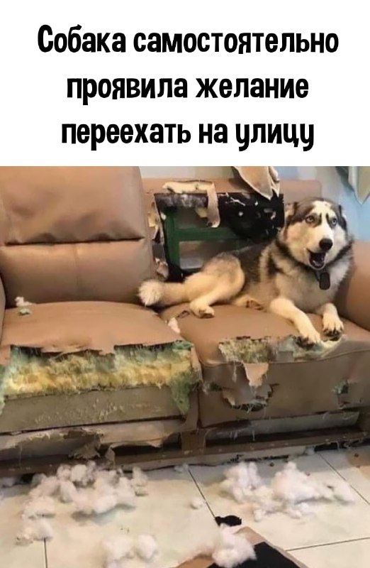 Немного картинок для настроения - 137