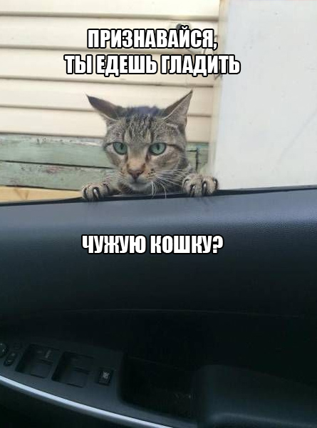 Забавные шутки и картинки из этих ваших интернетов