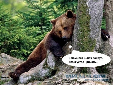 Если девушка в трусах, то почему сразу шлюха?