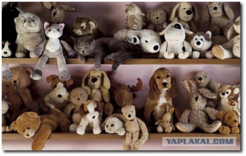 Мастер маскировки