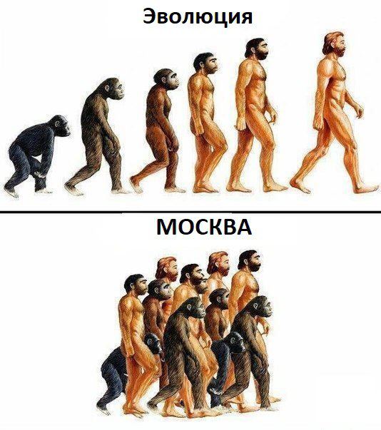 Картинки и мемы, всяко разно - 183