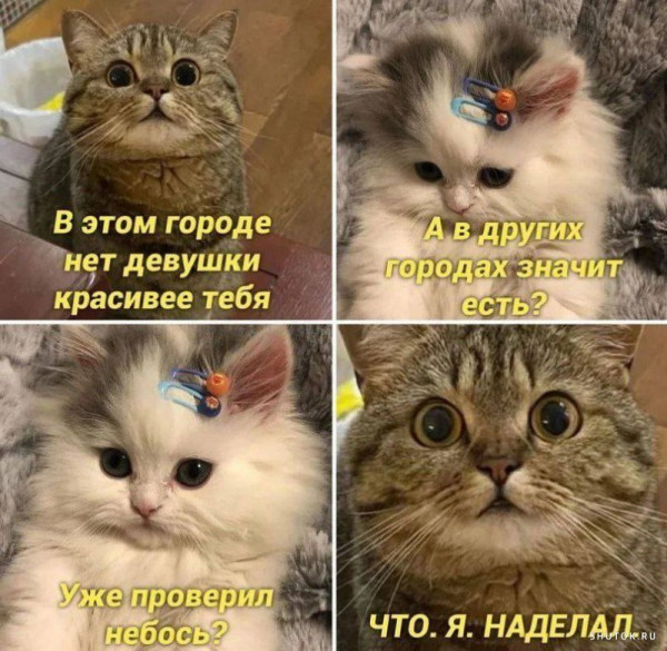 Картинки и мемы, всяко разно - 181
