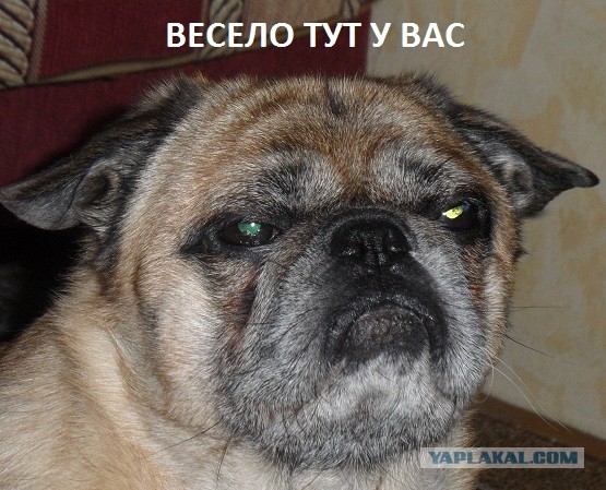 Где тут "свободная касса"?