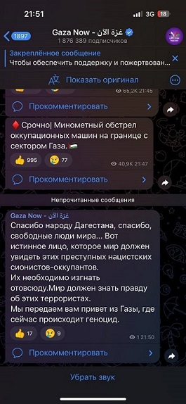 Захарова связала антиеврейские беспорядки в Дагестане с украинскими спецслужбами