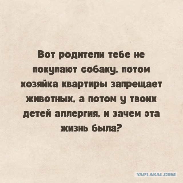 Разное