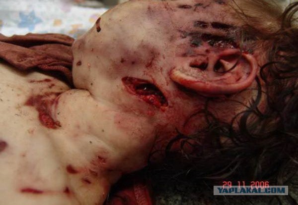 Догхантеров хотят сажать на три года