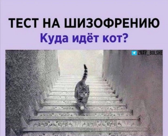 Так себе картинки 19.10.24