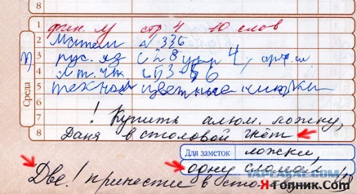 Забавные школьные дневники