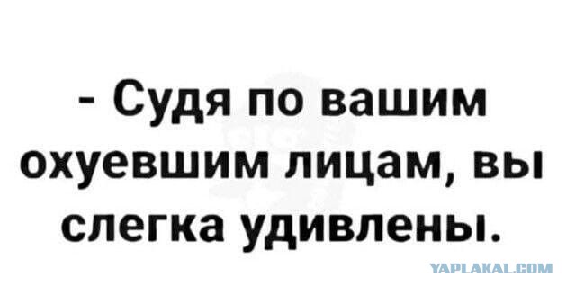 Весёлый полтишок 29.12.24