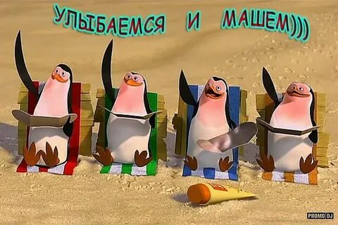 Посол Израиля в РФ сообщила, что ее страна будет представлена на параде 9 мая