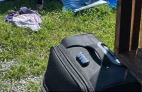 Женщина голая проникла на чужой участок в Находке и купалась в бассейне