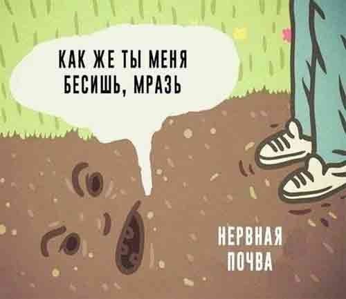 Картинки для деградации 101 (разной степени свежести)
