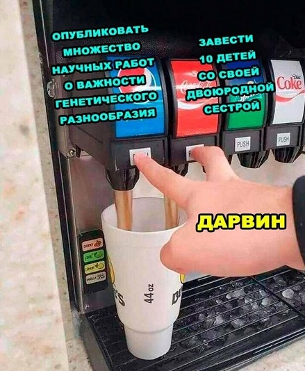 Ты чего избу не строишь?