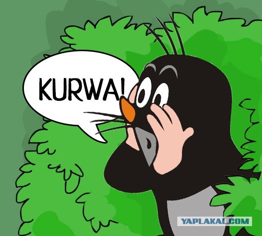 В Житковичском районе 83-летний пенсионер заразился ВИЧ после секса с молодой подругой
