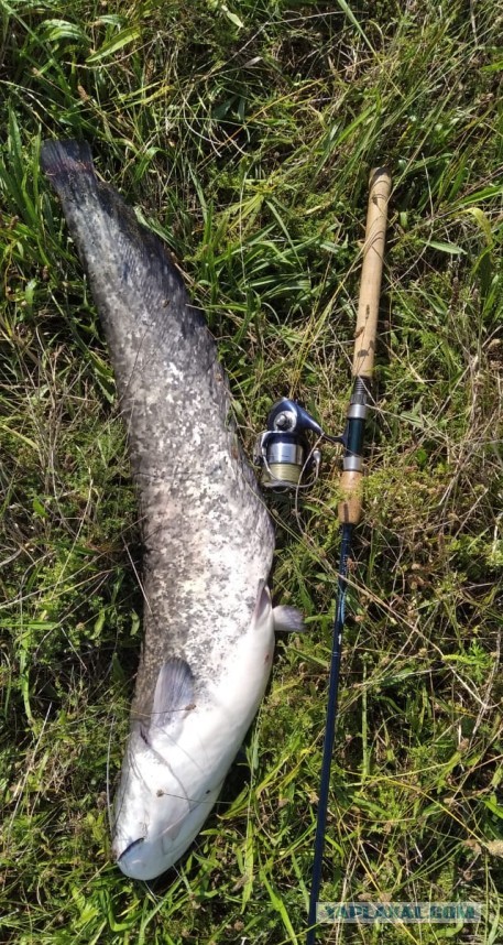 Изготавливаю на заказ рыболовные спиннинговые приманки (блесны-пилькеры).