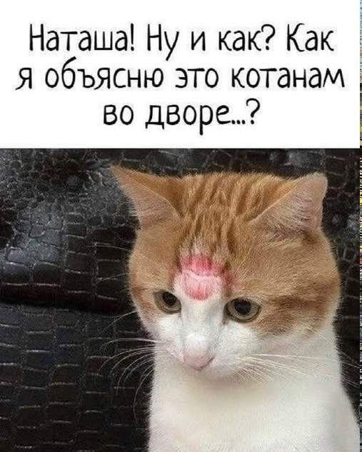 Среды картинки