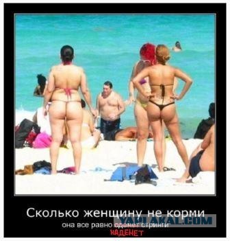 Так себе картинки 22.08.26