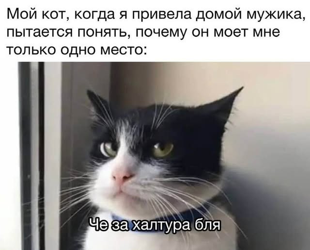 Пятничные бояны