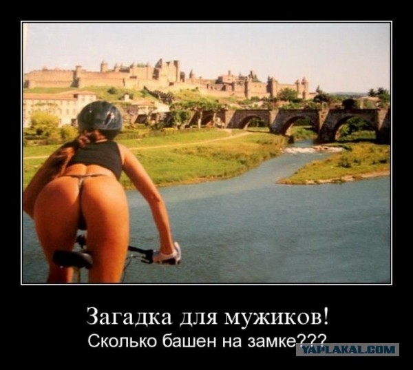 Поющая сидушка