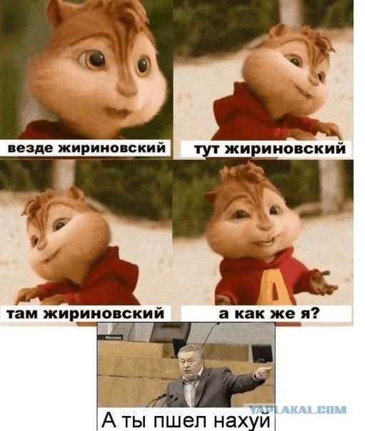 Владимир Вольфович негодует
