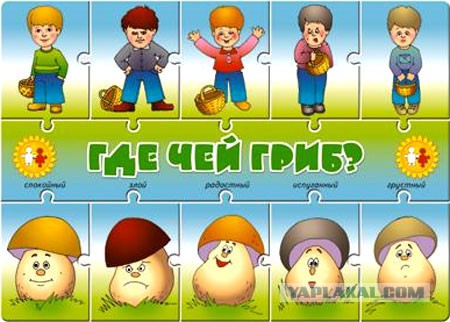 Наши эмоции